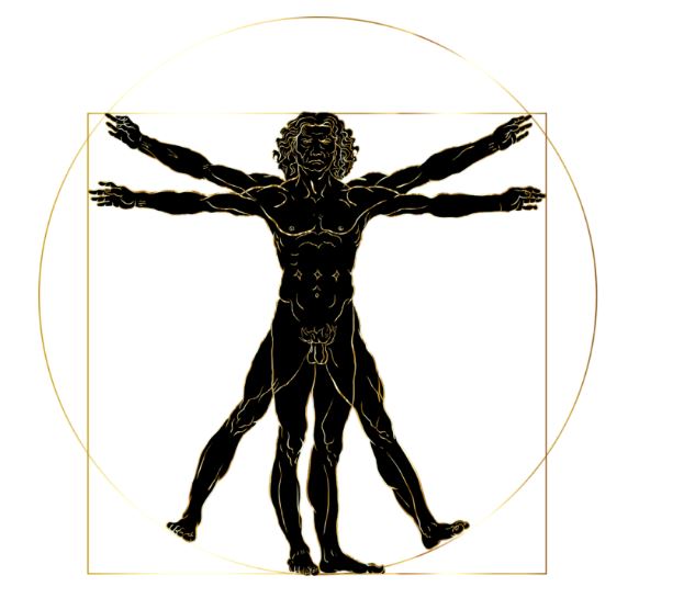 Leonardo Da Vinci Der vitruvianische Mensch