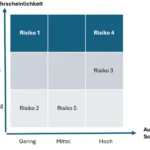 Risikomanagement Risk-Map Beispiel